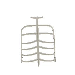 Бронежилет грудь скелета - №92521