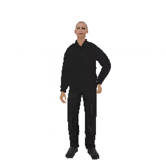 Скин: Охрана-1 (ID: 658) - №92452