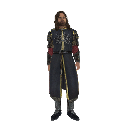 Сертификат охранника 'Арагорн' - №91619