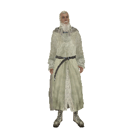 Сертификат охранника 'Гэндальф' - №91616