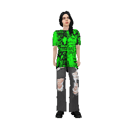 Сертификат охранника 'Билли Айлиш' - №91454