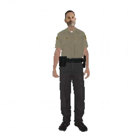 Сертификат охранника 'Рик Граймс' - №91455