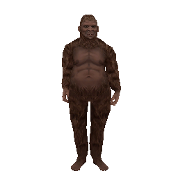 Сертификат охранника 'Бигфут' - №91451