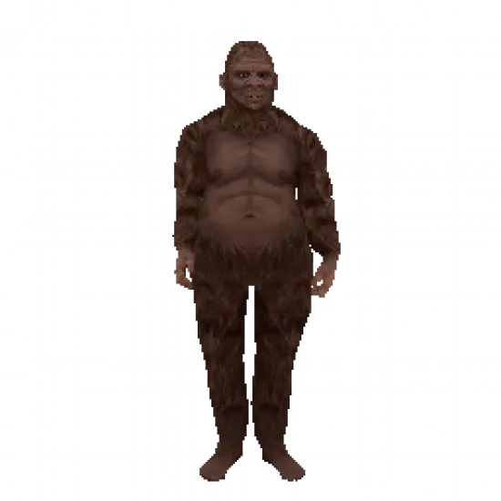 Сертификат охранника 'Бигфут' - №91451