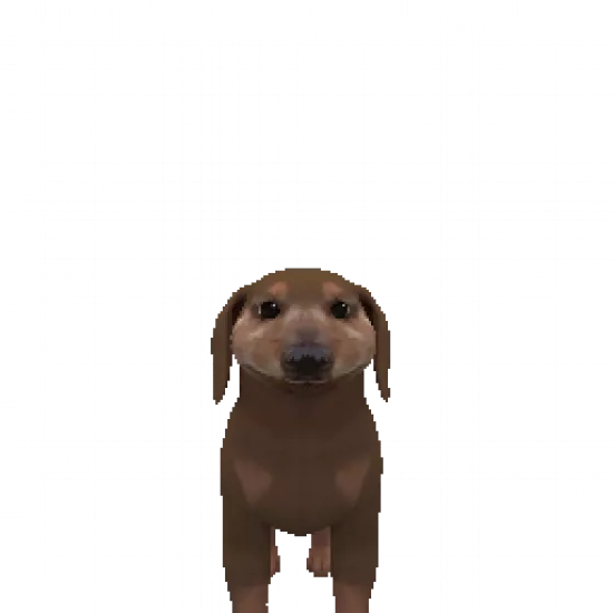 Сертификат охранника 'Собака Катсу' - №91382