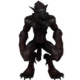 Сертификат охранника 'Оборотень' - №91306