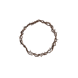 Шипованный обруч (на спутника) - №92172