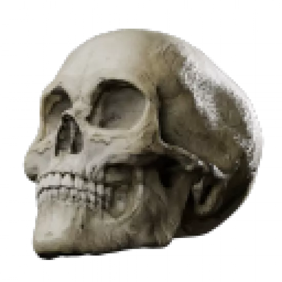 Останки мертвых - №92053