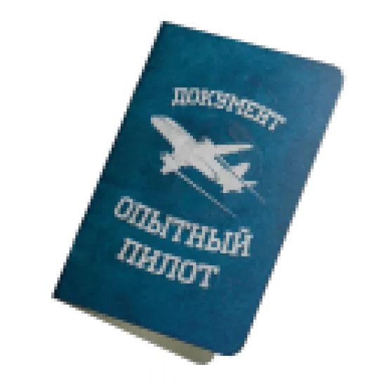 Документ: опытный пилот - №91094