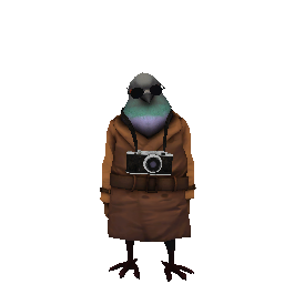 Сертификат охранника 'Шпиониро Голубиро' - №90936