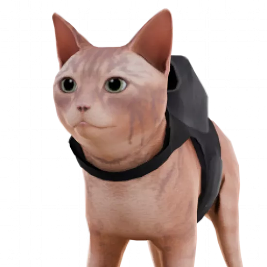 Сертификат охранника 'Кот из Stray' - №90886