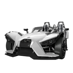 Сертификат Polaris Slingshot - №91821