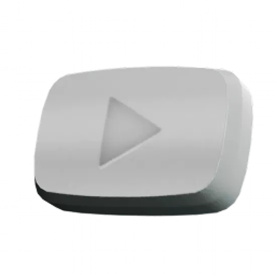 Серебряная кнопка - №95055